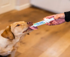 Pro-Kolin for Dogs and Cats Probiotic Paste and Syringe, 60ml
